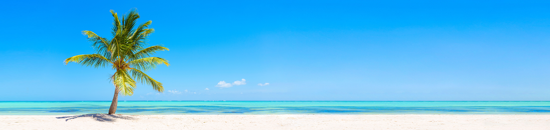 Malia Vacation Rentals Hero Image
